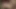 Taze gravure modelleri birlikte yakalandı mucize beş yollu grup çekimi