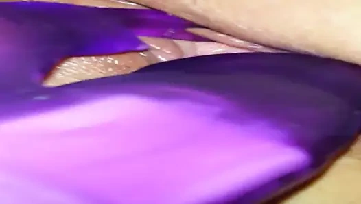 ıslak amcık tavşan