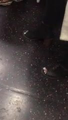 Sıcak batı Hint ayaklar içinde train