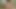 Private.com - sıcak kiraz öpücüğü ve veronica leal bir horoz paylaşıyor!