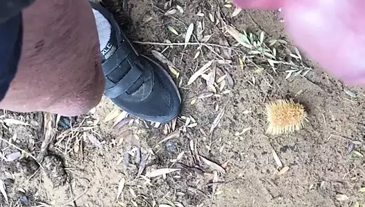 sürtme musluklar ile gandpa