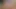 Dik milf oynuyor ona am üzerinde web kamerası