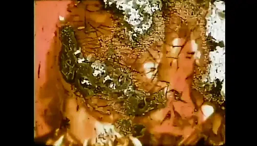 Vajinamın çılgınlığı