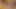 Sıcak yeni ladyboy ziara ilk zaman video