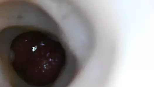 Cum içinde karısı kedi onu hamile yapmak (kamera takılı)