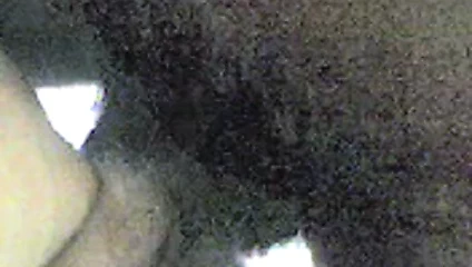 Erkek ve dişi rastas kahrolası