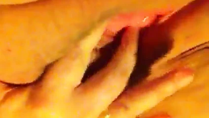 28 eylül 2016 kik ıslak ses kedi