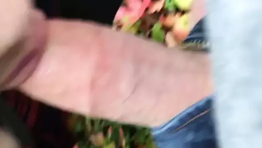 karısı berbat horoz içinde bir elma bahçesi