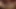 Düzgün vücutlu bebek chanel preston sikikleri ona kedi ile bir cam yapay penis