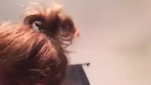 Yüzümün göründüğünden çok daha fazla eğleniyorum!