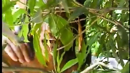 Beyaz horoz ve siyah sürtük duo kahrolası