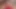 bbw sikme (5)