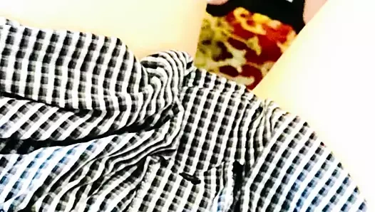 Evde tek başına savannah milleri kahvaltıda ortalığı karıştırıyor