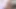 4k kızgın köpek yavrusu havlıyor ve tüm odayı kokluyor