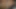 Tushy anal dersler için seksi nerd maya grand