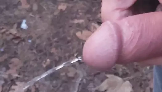 Halka açık seyir, işeme, ormanda horoz ile yürüyüş - rockard baba