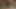 TS Carla & meX