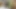 Tad Pole çarpıcı porno yıldızı Asteria Jade'in içine boşalıyor