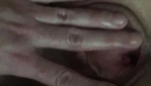 Islak Litvanyalı kedi parmaklıyor. kedi osurukları