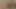 Shayla o amcığı cezalandırmama izin veriyor