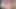 Vixen bunny fanta sie ve büyük boyutlu dildo