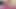 Meraklı tanrıça - sarışın orta yaşlı seksi kadın büyük götlü kıllı amcık mastürbasyon yapıyor yarak emiyor domaltarak sikişiyor
