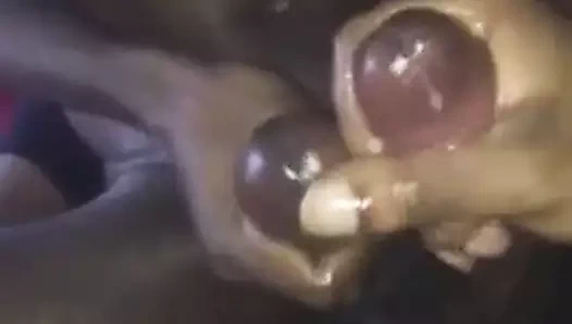 İnme tomurcukları iniyor