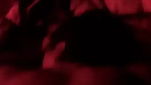 Miami eski köpek bölüm 2