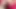 seksi ssbbw gf 3
