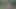 Ormanda Bir Yoldan Geçen Tarafından Sevişiyor!