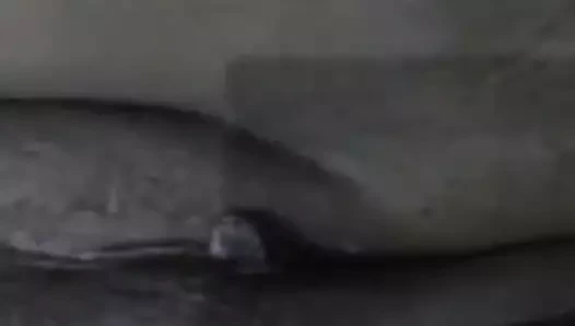 Süper ateşli fazlin jacobs amcığını parmaklıyor