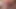 Gayroom sörfçü tomurcukları