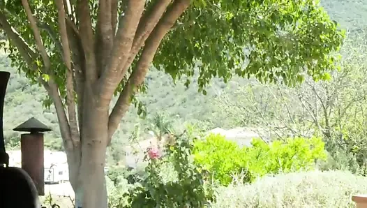 Jay taylor ve kuzgun roket, ecstacy'ye bayılıyor.