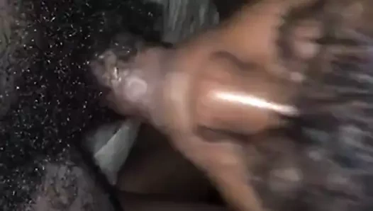 Sulu ağız sıska kiracı