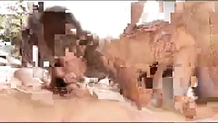 Asyalı dölleme videosu # 3