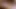 3 boyutlu tabu tutkusu tanrıçası - 3 boyutlu animasyon hentai