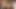 Seksi öğrenci Hotkinkyjo beyaz oyuncak ayıyla mastürbasyon