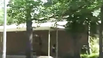 Arka koltuktakiler - domino taşı