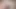 Miko naylon külotlu çorap 3d animasyon - büyük meme masajı inliyor, anal vibratör oyunu, sansürsüz hentai'de fışkırtmak için yoğun parmaklama