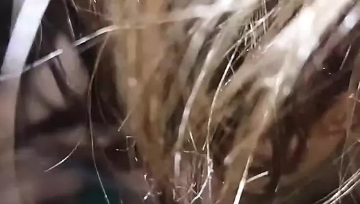 Üvey kız kardeş Nisha sikilmek için üvey erkek kardeşini baştan çıkarıyor.. Jub ghar me koi nahi tha