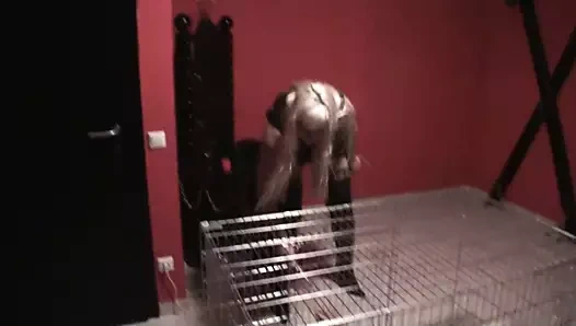 Arap köle kafeste işkence olsun