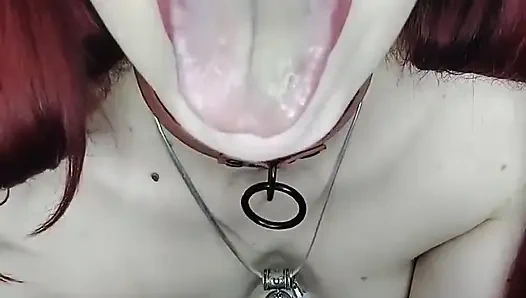 Especial cadılar bayramı: mi mueca gauchita me enfiesta en cadılar bayramı bölüm 1