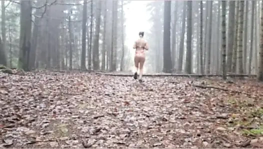 In search of Santa Claus