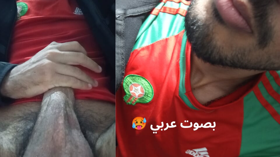 Faslı Afrikalı aslan ona itaatsizlik etmek isteyen bir kişiyi çağırıyor