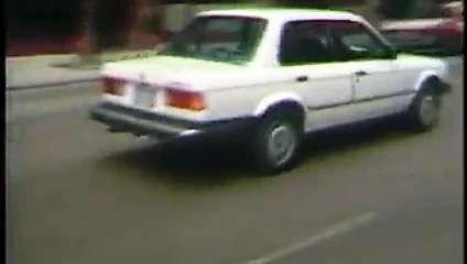 Toi kilton kral vahşi