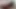 Mila'nın salya akıtan hogtie zevki kemerlerle bağlı ve koşumlu bir taşakla sabitleniyor! (4k)