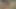 jake steed cums üzerinde lovettes yüz