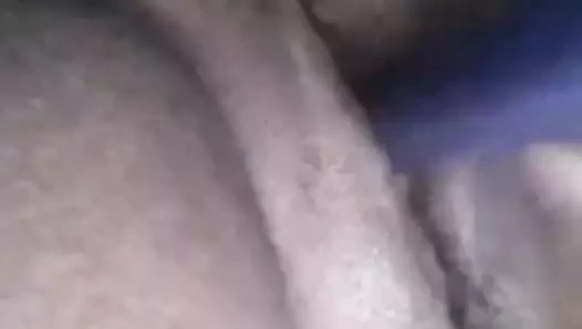 kahverengi piliç 27