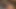 Vrbangers seksi abanoz september hükümdarlık almak bir büyük horoz