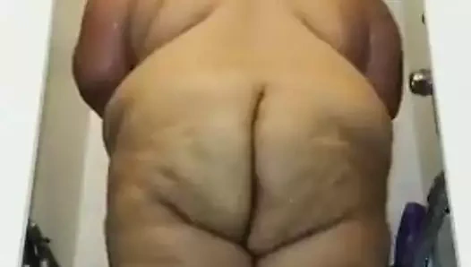 Şişman bir eşek ile Latin tatlım